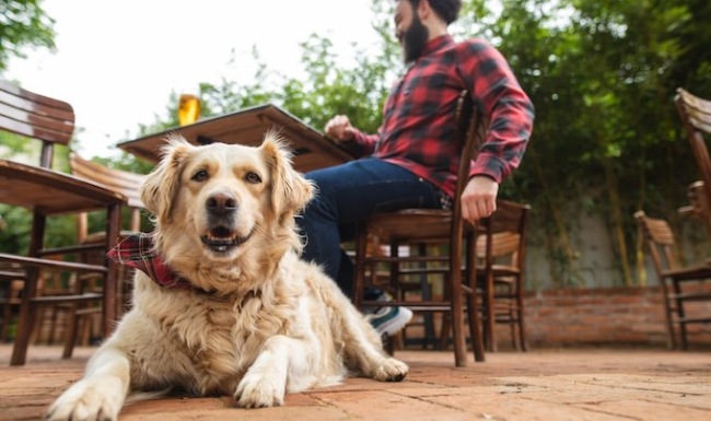 DUE NORTH OF ORDINARY DUE NORTH OF ORDINARY