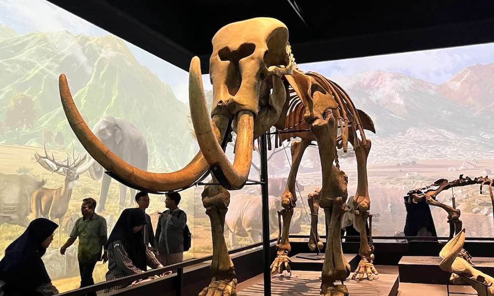 mammoth statue in room